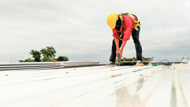 Best Roof Waterproofing  in Bannockburn, IL